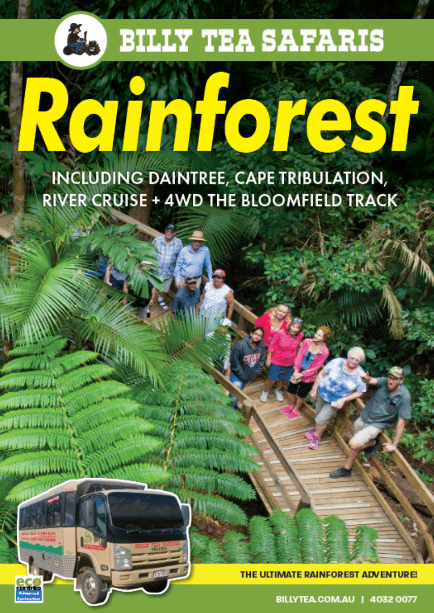 Download our Rainforest Tour Brochure with our sister company Billy Tea Safaris